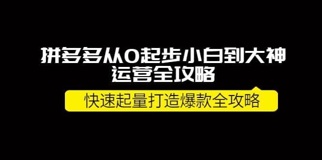 拼多多从0起步小白到大神运营全攻略-天天有课网