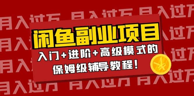 月入过万闲鱼副业项目：入门+进阶+高级模式的保姆级辅导教程-天天有课网