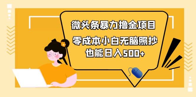 人人都能操作的微头条最新暴力撸金项目，零成本小白无脑搬运-天天有课网