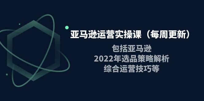亚马逊运营实操课（每周更新）包括亚马逊2022选品策略解析，综合运营技巧等-天天有课网