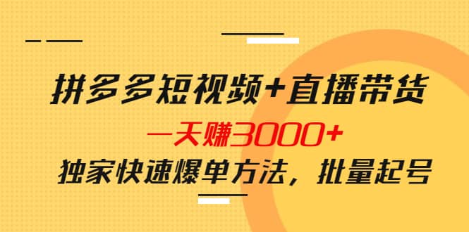 拼多多短视频+直播带货，一天赚3000+独家快速爆单方法，批量起号-天天有课网