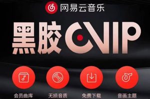 网易云撸黑胶年卡及变现方法，收益可无限放大-天天有课网