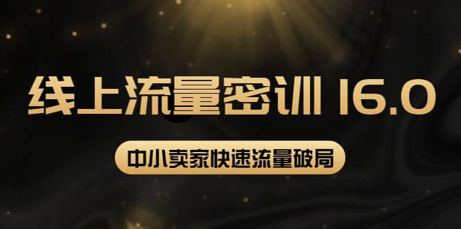 2022秋秋线上流量密训16.0：包含 暴力引流10W+中小卖家流量破局技巧 等等！-天天有课网