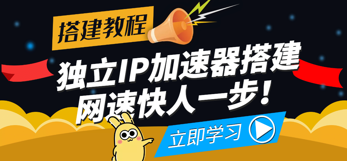 【独立IP搭建教程】SOCK5-IP搭建制作详细流程，散人工作室必备技能-天天有课网
