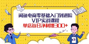 闲鱼电商零基础入门到进阶VIP实战课程-天天有课网