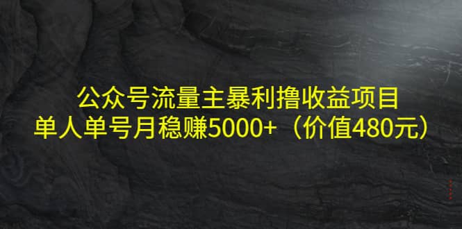 公众号流量主暴利撸收益项目，单人单号月稳赚5000+（价值480元）-天天有课网