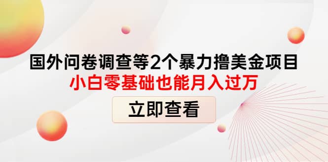 国外问卷调查等2个暴力撸美元项目，小白零基础也能月入过万-天天有课网