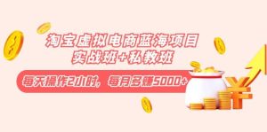 淘宝虚拟电商蓝海项目实战班+私教班-天天有课网