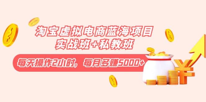淘宝虚拟电商蓝海项目实战班+私教班-天天有课网
