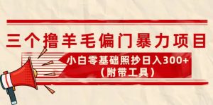 外面卖998的三个撸羊毛项目，小白零基础照抄（附带工具）-天天有课网