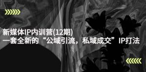 新媒体IP内训营(12期),一套全新的“公域引流,私域成交”IP打法,直接带走-天天有课网