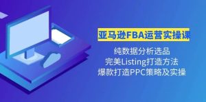 亚马逊FBA运营实操课 纯数据分析选品+完美Listing打造+爆款打造PPC策略实操-天天有课网