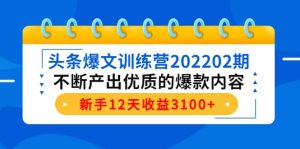头条爆文训练营202202期，不断产出优质的爆款内容-天天有课网