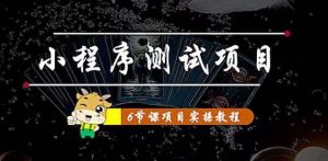 小程序测试项目 从星图 搞笑 网易云 实拍 单品爆破 抖音抖推猫小程序变现-天天有课网