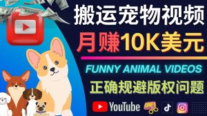 搬运TIKTOK视频到YouTube，并进行二次创作，月赚1万美元以上-天天有课网