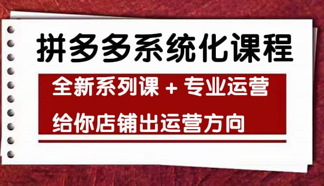 车神陪跑，拼多多系统化课程，全新系列课+专业运营给你店铺出运营方向-天天有课网