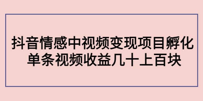 抖音情感中视频变现项目孵化-天天有课网