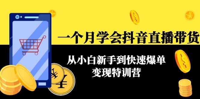 一个月学会抖音直播带货：从小白新手到快速爆单变现特训营(63节课)-天天有课网