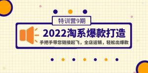 2022淘系爆款打造特训营9期：手把手带您链接起飞，全店运销，轻松出爆款-天天有课网