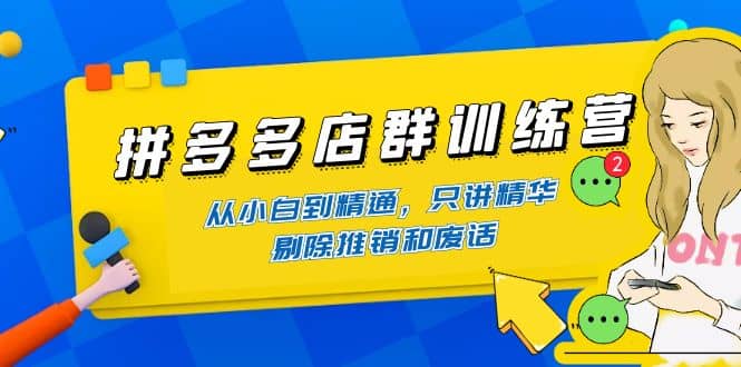 拼多多店群训练营：从小白到精通，只讲精华，剔除推销和废话-天天有课网