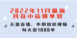 2022年11月最新抖音小店爆单训练营：无需直播，不用拍短视频，每天出1000单-天天有课网