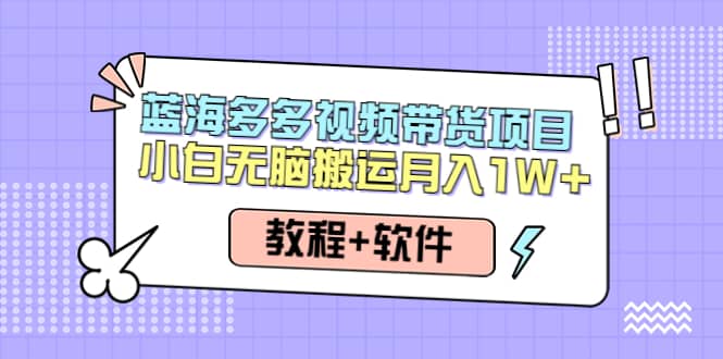 人人都能操作的蓝海多多视频带货项目 小白无脑搬运（教程+软件）-天天有课网