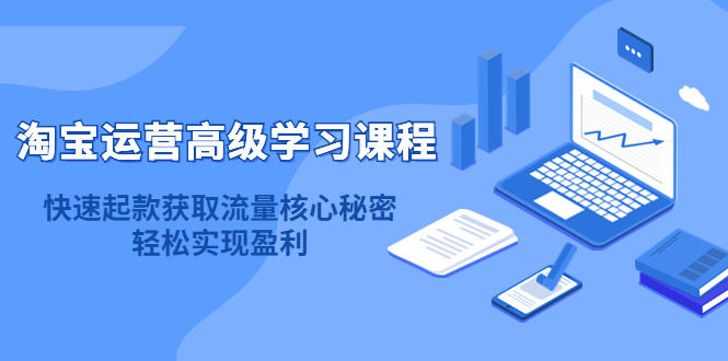 淘宝运营高级学习课程：快速获取流量核心秘密，轻松实现盈利！-天天有课网