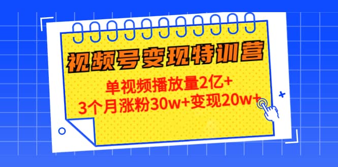20天视频号变现特训营：单视频播放量2亿+-天天有课网