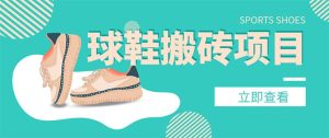 外面收费998的球鞋搬砖项目【详细教程+资源渠道】-天天有课网