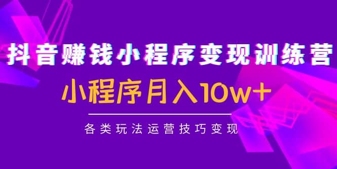 抖音小程序变现训练营：小程序各类玩法运营技巧变现-天天有课网