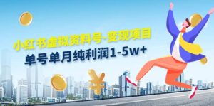 小红书虚拟资料号-变现项目:实操玩法分享-天天有课网