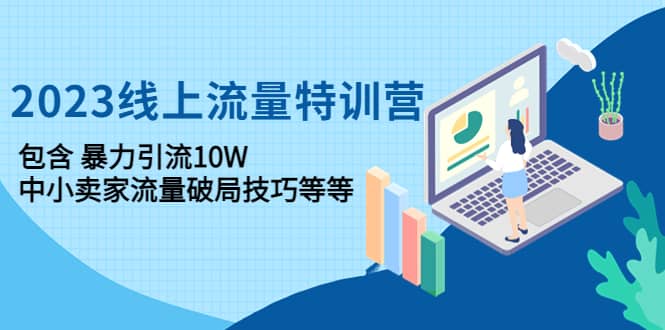2023线上流量特训营：中小卖家流量破局技巧等等-天天有课网