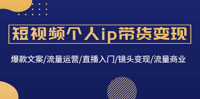 短视频个人ip带货变现：爆款文案/流量运营/直播入门/镜头变现/流量商业-天天有课网
