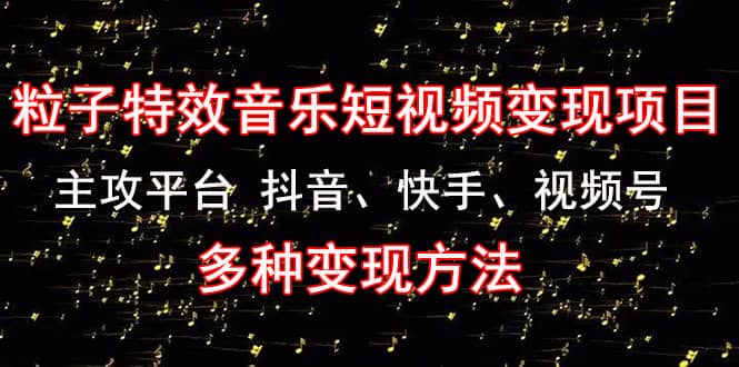 《粒子特效音乐短视频变现项目》主攻平台 抖音、快手、视频号 多种变现方法-天天有课网
