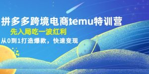 拼多多跨境电商temu特训营：先入局吃一波红利，从0到1打造爆款，快速变现-天天有课网