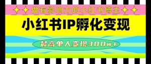 某收费培训-小红书IP孵化变现:做有影响力的小红书博主-天天有课网