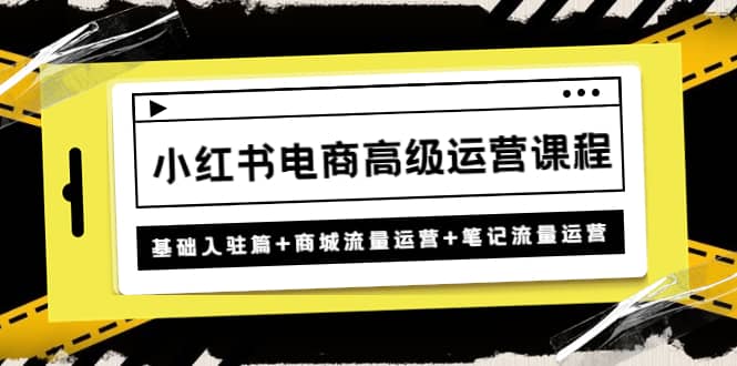 小红书电商高级运营课程：基础入驻篇+商城流量运营+笔记流量运营-天天有课网