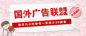 外面收费1980最新国外LEAD广告联盟搬砖项目，单号一天至少30美元(详细教程)-天天有课网