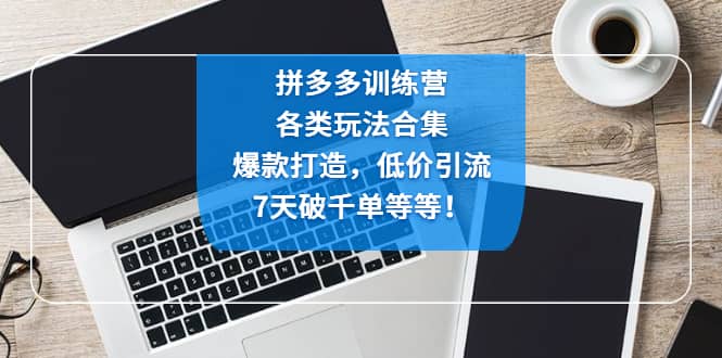 拼多多训练营：各玩法合集，爆款打造，低价引流，7天破千单等等-天天有课网