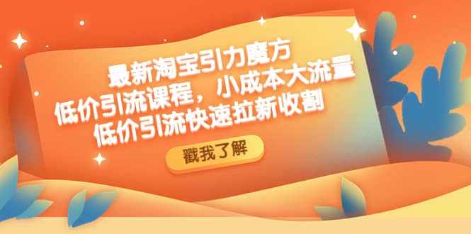最新淘宝引力魔方低价引流实操：小成本大流量-天天有课网