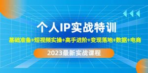 2023个人IP实战特训：基础准备+短视频实操+高手进阶+变现落地+数据+电商-天天有课网