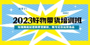 2023好物带货培训班:短视频底层逻辑带货解析,账号定位运营选品-天天有课网