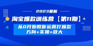 淘宝爆款训练营【第11期】 从0开始教你运营打爆款,方向+实操+放大-天天有课网