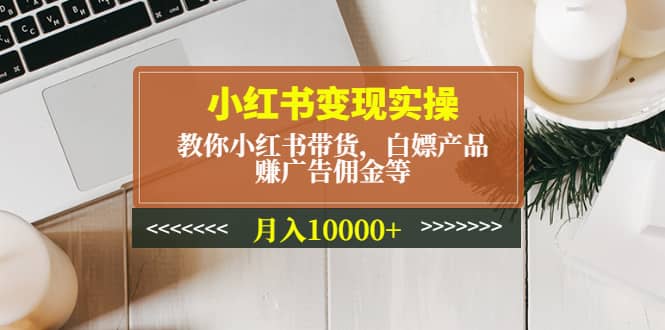 小红书变现实操：教你小红书带货，白嫖产品，赚广告佣金等-天天有课网