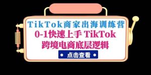 TikTok商家出海训练营：0-1快速上手 TikTok跨境电商底层逻辑(无水印)-天天有课网