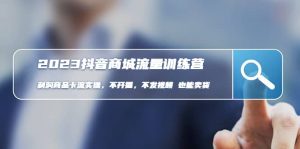 2023抖音商城流量班：利润商品卡流实操，不开播-不发视频-也能卖货(无水印)-天天有课网