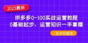 2023拼多多0-100实战运营教程,0基础起步,运营知识一手掌握(无水印)-天天有课网