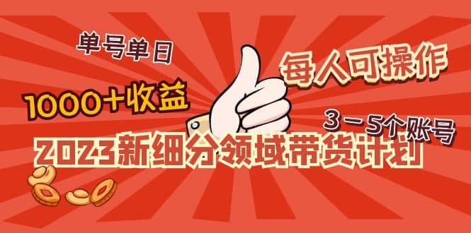 2023新细分领域带货计划：单号单日1000+收益不难，每人可操作3-5个账号-天天有课网