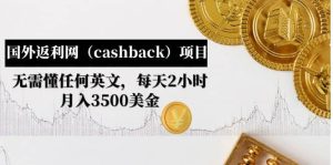 国外返利网（cashback）项目：无需懂任何英文，每天2小时，月入3500美元-天天有课网