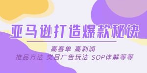亚马逊打造爆款秘诀:高客单 高利润 推品方法 类目广告玩法 SOP详解等等-天天有课网